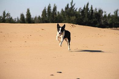 恶搞向点击冒险游戏《埃隆》现已在Steam平台推出试玩Demo